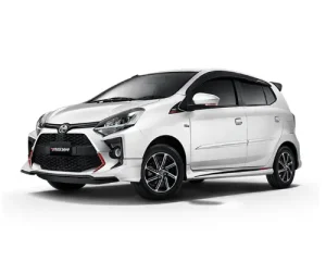 mausewatransport - ayla agya