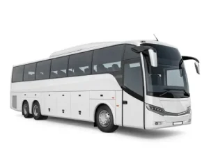 mausewatransport - big bus