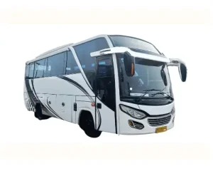 mausewatransport - medium bus